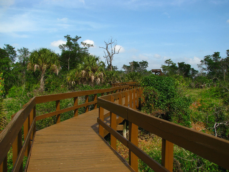 boardwalk at Daggerwing Nature Center