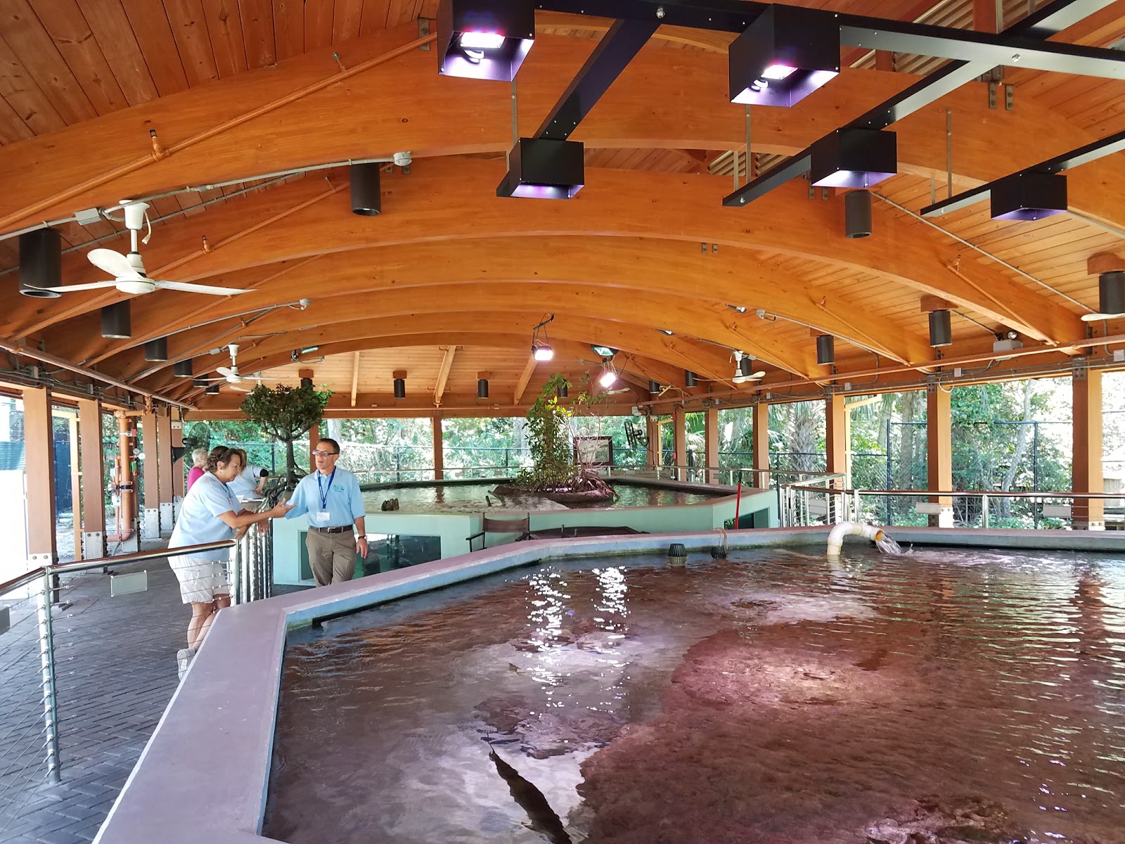Gumbo-Limbo-Nature-Center-8 Gumbo-Limbo-Nature-Center-8