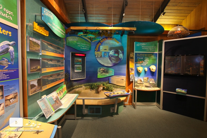 Gift store at The Gumbo Limbo Nature Center Gift store at The Gumbo Limbo Nature Center