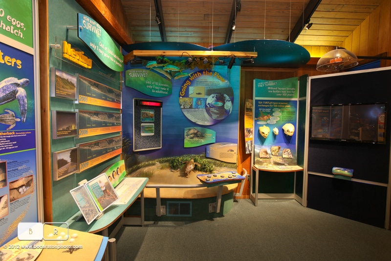 Gift store at The Gumbo Limbo Nature Center