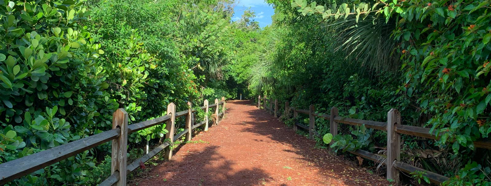 Nature trail at Spanish River Park