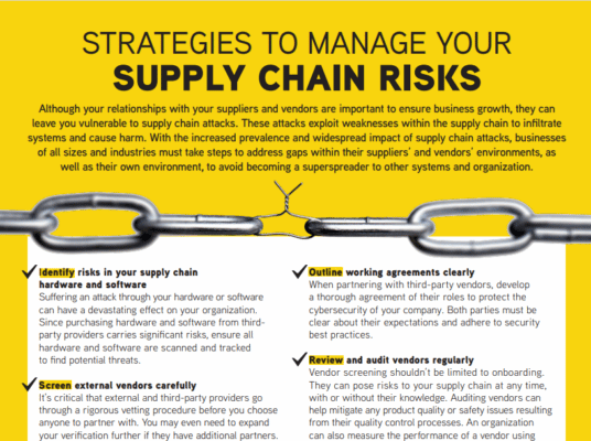 STRATEGIES TO MANAGE YOUR SUPPLY CHAIN RISKS 1
